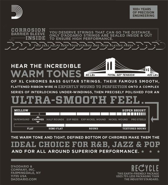 D'Addario ECB81 XL Chromes Regular Light (.045-.100) Electric Bass Guitar Strings - Image 2