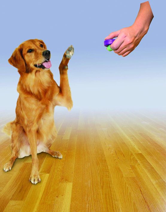 PetSafe Clik-R Training Tool, Obedience Aid, Clicker for Dogs - Image 2