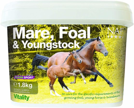 NAF Mare, Foal & Youngstock