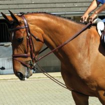 Signature Leather Whitaker Training Rein, Brown, One Size