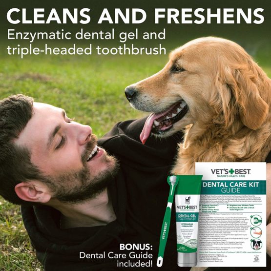 Vet's Best Dental Gel Toothpaste and Toothbrush Kit for Dogs - Image 2