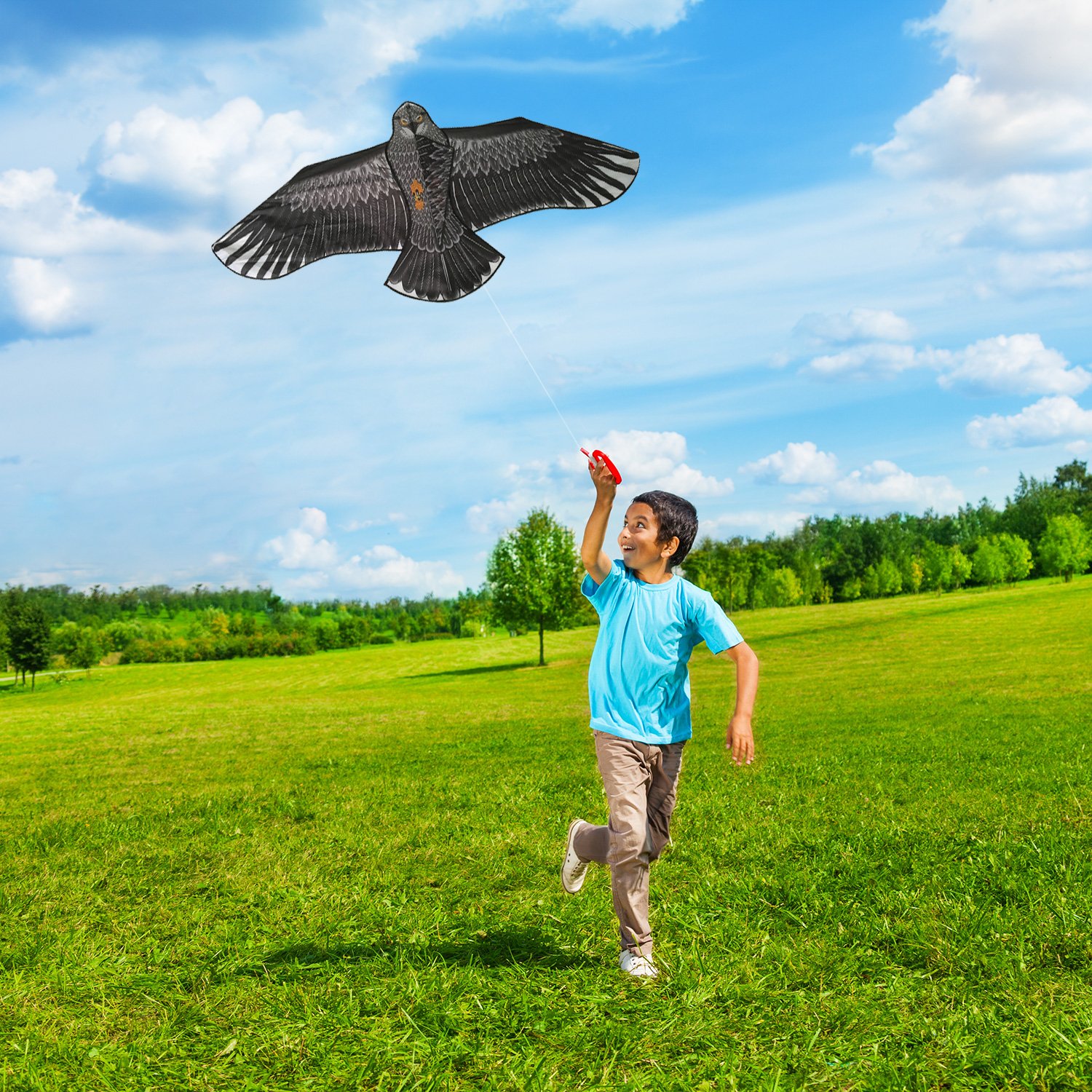 Large Eagle Bird Kite for Children & Adults Huge Wingspan and Lifelike Design 