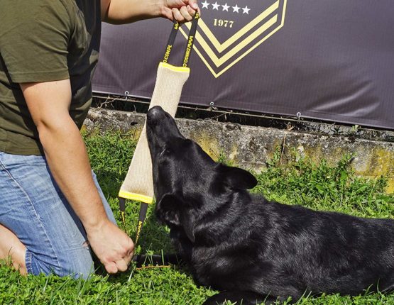 Dingo Jute Bite Tug With Two Handles For Tug Of War Play Dog Bite Training 10579 - Image 4