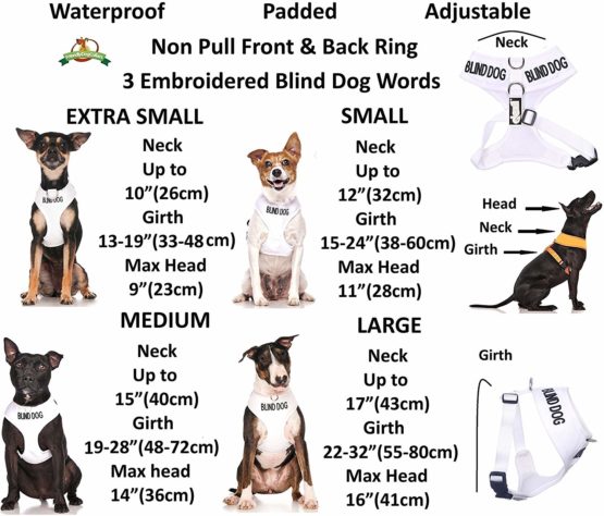 BLIND DOG (Dog Has Limited/No Sight) White Colour Coded Non-Pull Front and Back D Ring Padded and Waterproof Vest Dog Harness PREVENTS Accidents By Warning Others Of Your Dog In Advance (S) - Image 3
