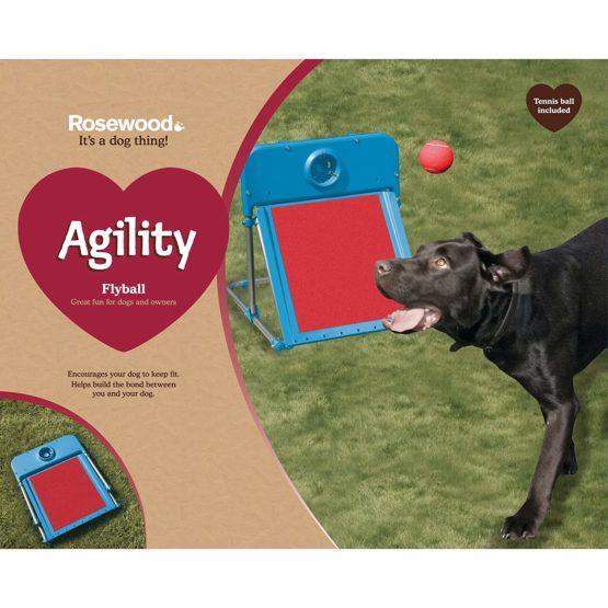 Rosewood Dog Agility Flyball - Image 2