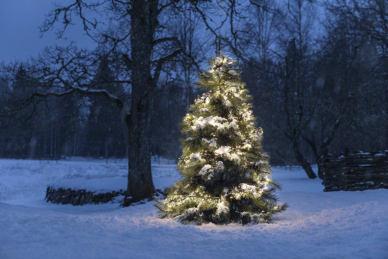 Konstsmide LED Cluster Christmas Outdoor Lights/Fairy Lights / 8 Functions - Image 4
