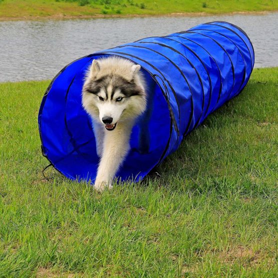 dibea Dog Tunnel Play Tunnel Dog Cave Agility Tunnel Blue Size (L) 500 ...