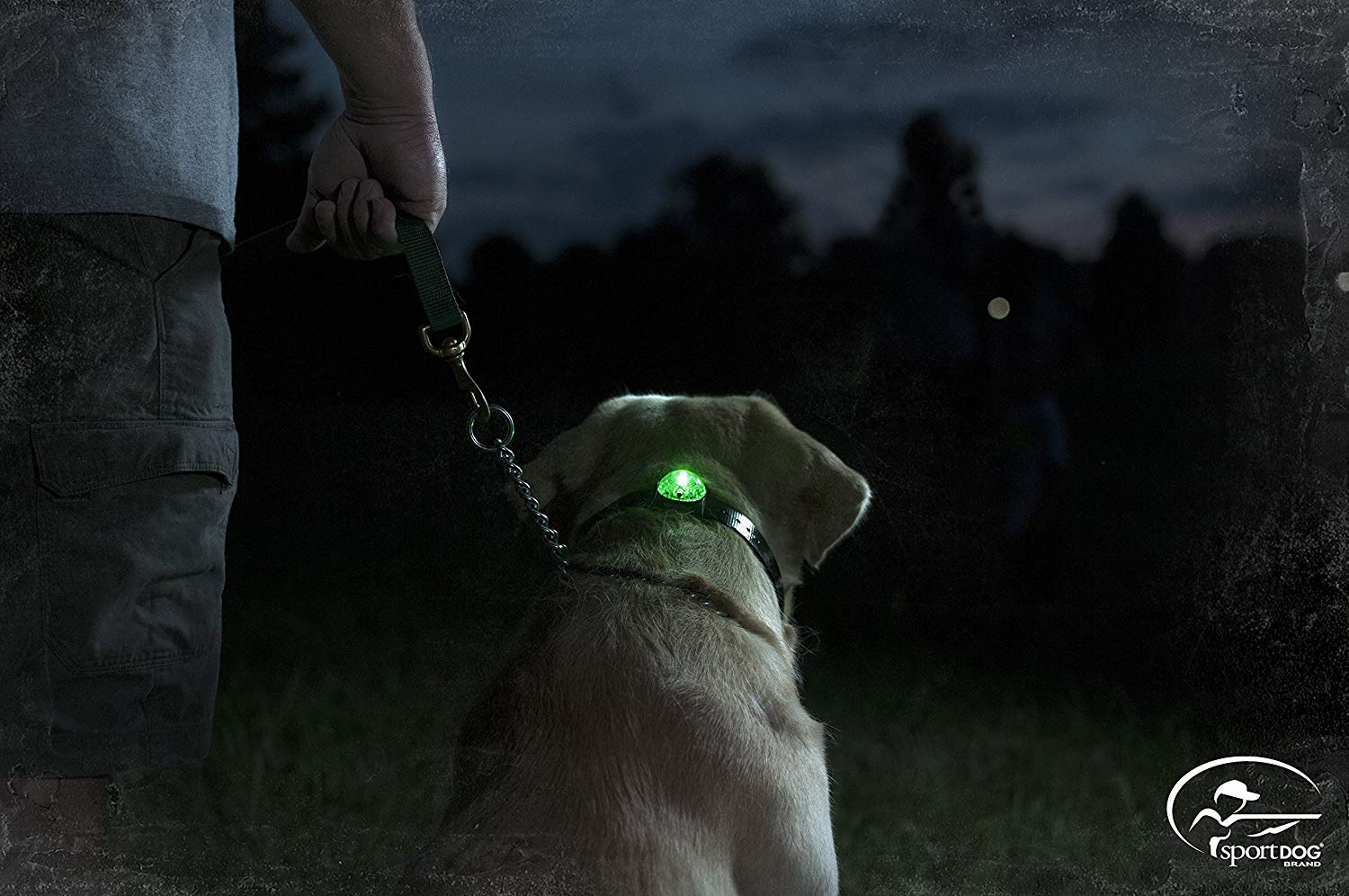 SportDOG Beacon Locator, Blue, One size fits all - Image 2