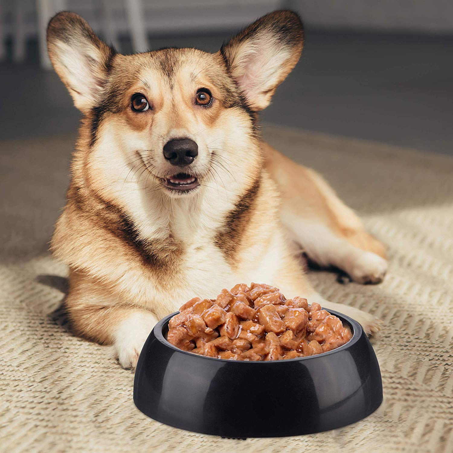 Relaxdays Relaxdays Foraging Feeding Bowl for Slow Eating Cats & Dogs, Bloat Stop Dish, Dishwasher-Safe, Black - Image 2