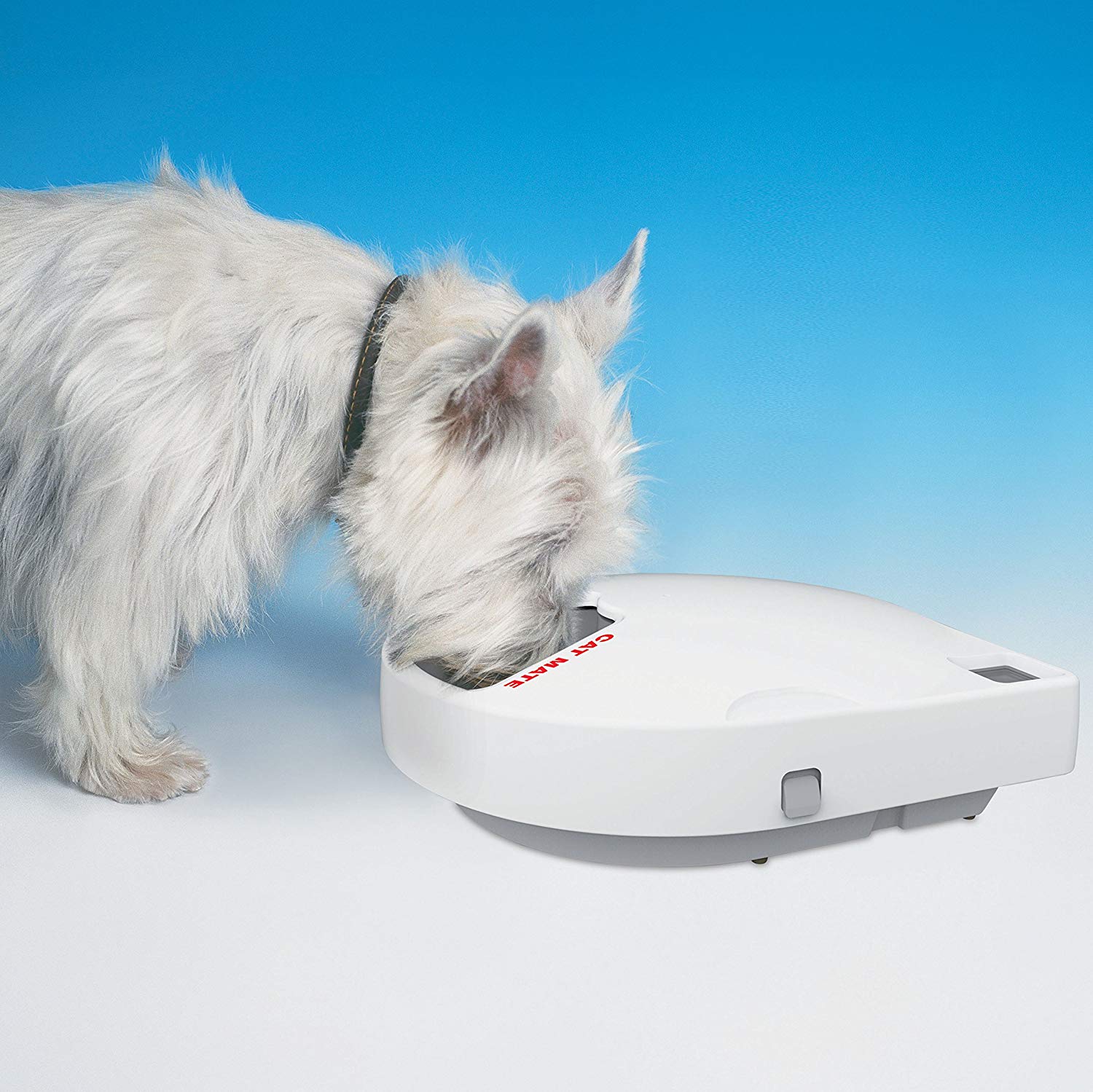 Cat Mate C500 Automatic Pet Feeder Cat or Small Dog Bowl with Digital
