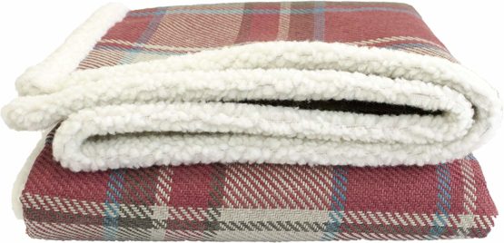 Festive Collection Christmas Pet Blanket