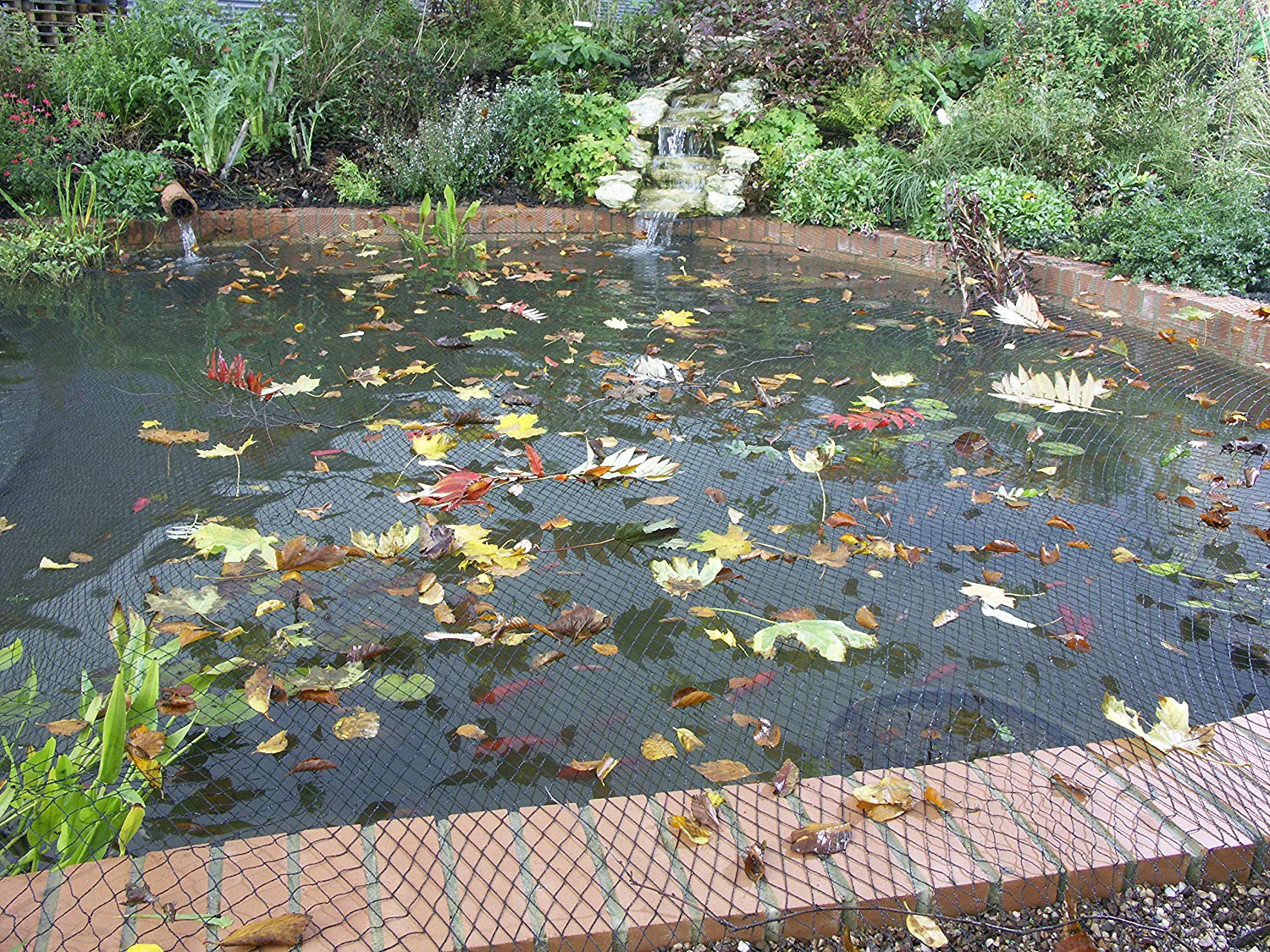Blagdon 1022378 Clearview Pond Cover Netting, Strong Double Weave, Black, Fine, with 6 Fixing Pegs - Image 3