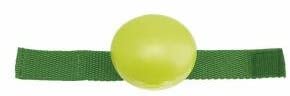 Chicco 005850 Dummy-Single, multicolored, Singolo - Image 2