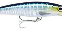 Rapala X-Rap Magnum 10 Lure