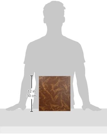 Pardo 233000 Folio Size File 70 mm Brown - Image 2