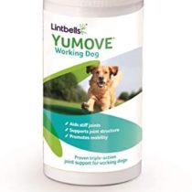 Lintbells | Working Dog | Hip and Joint Supplement for Working Dogs, with Glucosamine, Chondroitin, Green Lipped Mussel | All Ages and Breeds | 480 Tablets