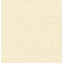 Decadry A4 95gsm Letterheads Parchment Paper - Champagne (Pack of 100)