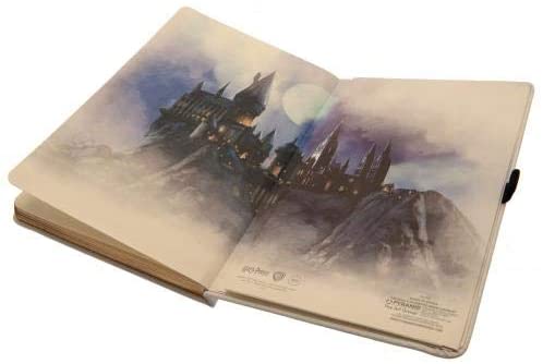 Harry Potter (Hogwarts Express Ticket) A5 Premium Notebook, Multi-Colour - Image 3