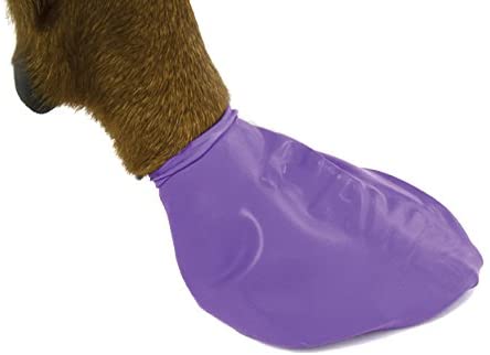 Large Pawz Durable All Weather Dog Boots (12 boots), Purple - Image 3