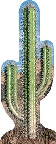 STAR CUTOUTS Cut Out of Cactus Single, Lifesize
