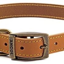 Ancol Timberwolf Leather Dog Collar, 55-63 cm, Mustard