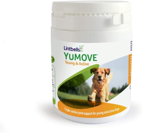 Lintbells | YuMOVE Young and Active Dog | Hip and Joint Supplement for Dogs to Support Active and Growing Joints for Dogs Aged Under 6 | 240 Tablets