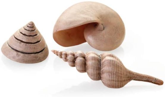 biOrb Shell Set 3 natural