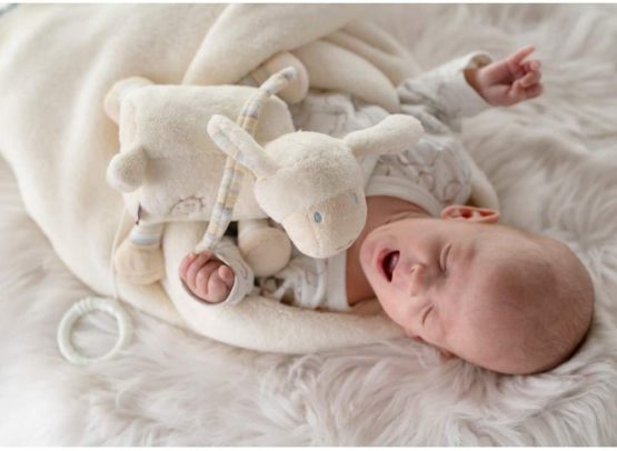 Fehn 154658 Sheep Music Box – Wind-Up Music Box with Removable Mechanism – for Babies and Toddlers from Newborns Onwards – Dimensions : 16 cm - Image 3