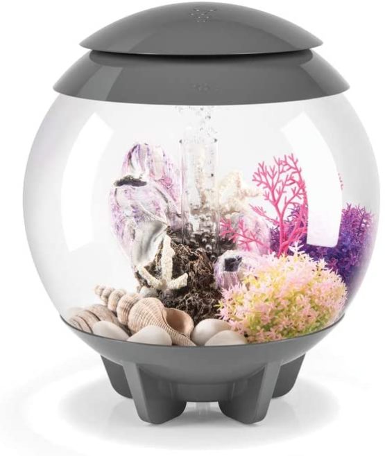 biOrb Horn Coral S Pink - Image 3