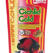 Hikari 8.8-Ounce Cichlid Gold Floating Pellets for Pets, Mini