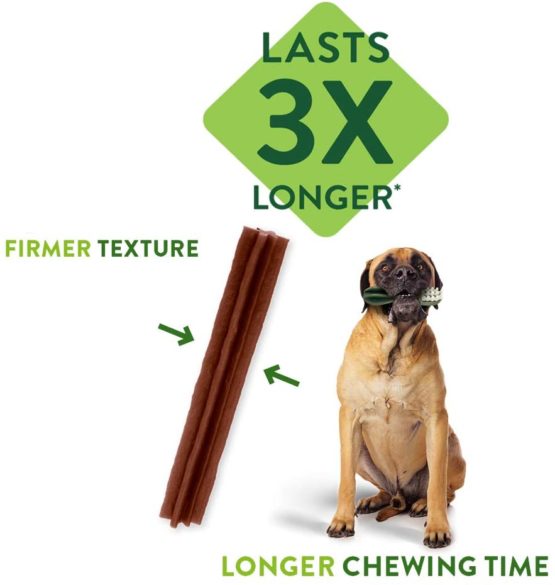 WHIMZEES Natural Dental Dog Chews Long lasting, Large Hedgehog, 6 Pieces - Image 4