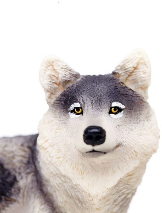 Gray Wolf - Image 2