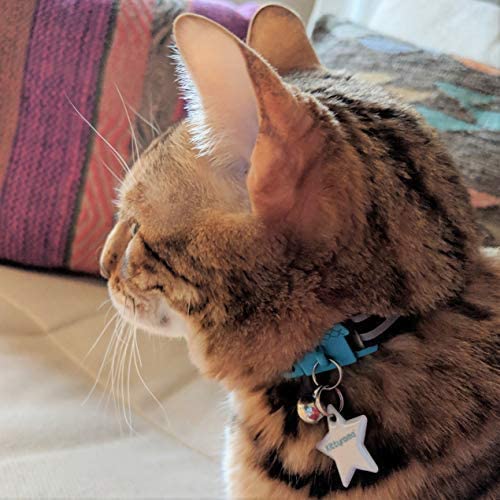 Kittyrama Reflective Star Charm. Safety Cat Tag. Lightweight, High Visibility, Waterproof. Fits All Reflective Cat Collars - Image 4