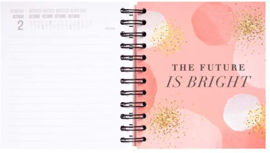 Glitter 2019-2020  Academic Diary, Organiser, Calendar, Agenda. One Day to Page Twin Wire Spiral Binding Mid Year Student Daily Planner. Runs from September 2019 Until June 2020-10 Months. - Image 4