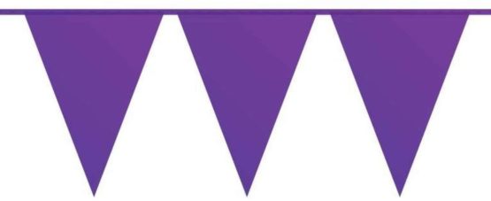 CREATIVE Folat - Purple Color Garland For Party Decoration - 10 meters