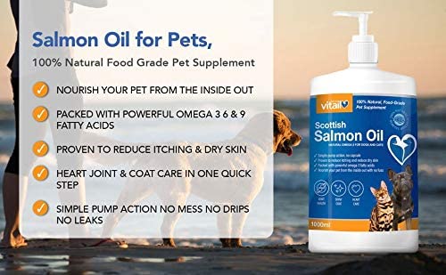 Zipvit Scottish Salmon Oil for Dogs & Cats, Supports Healthy Skin & Coat,Immunity, Joint & Brain Health - Image 2