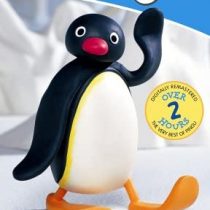 Pingu Forever! The Ultimate Bumper Collection [DVD]