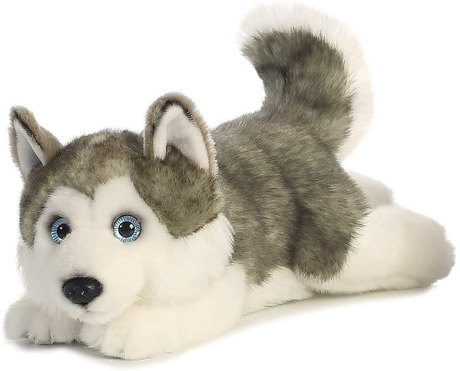 miyoni husky