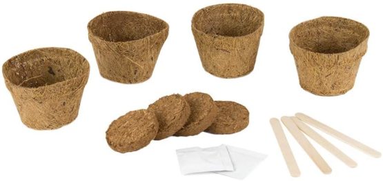 Gift Republic GR120001 - Sow And Grow, Kit for growing carnivorous plants - Image 3