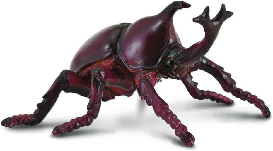 CollectA Rhinoceros Beetle, Multicolor