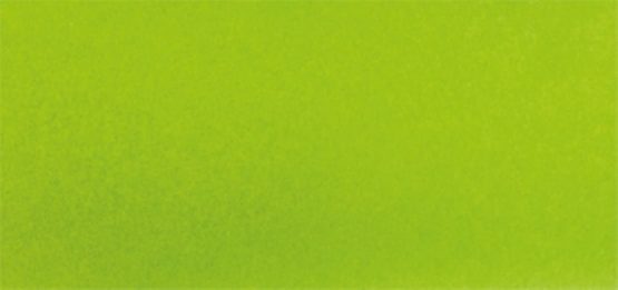Rayher 67270417 Tissue paper, Hauser light green - Image 2