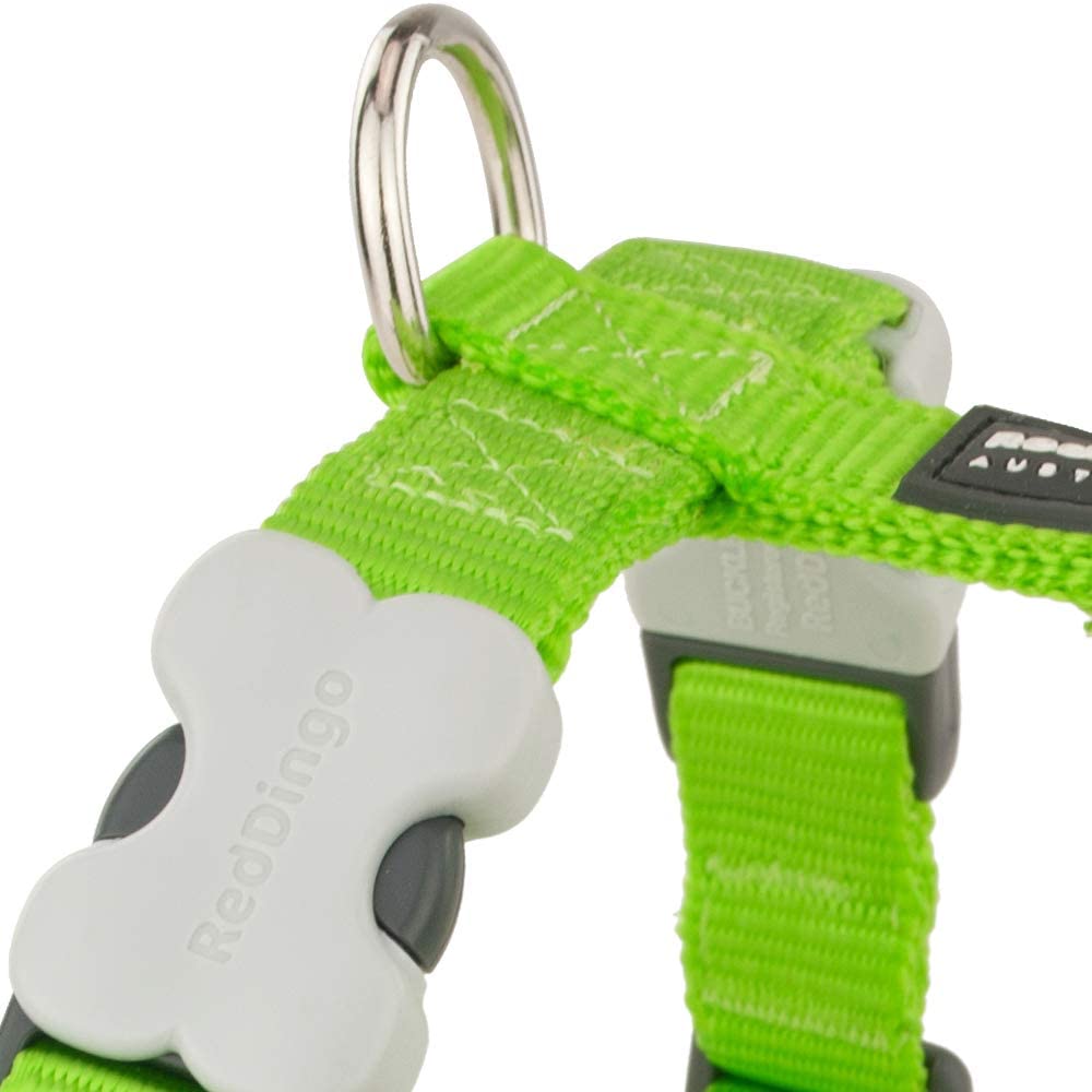 Red Dingo Classic Dog Harness Plain, Lime Green, Small 15mm - Image 2