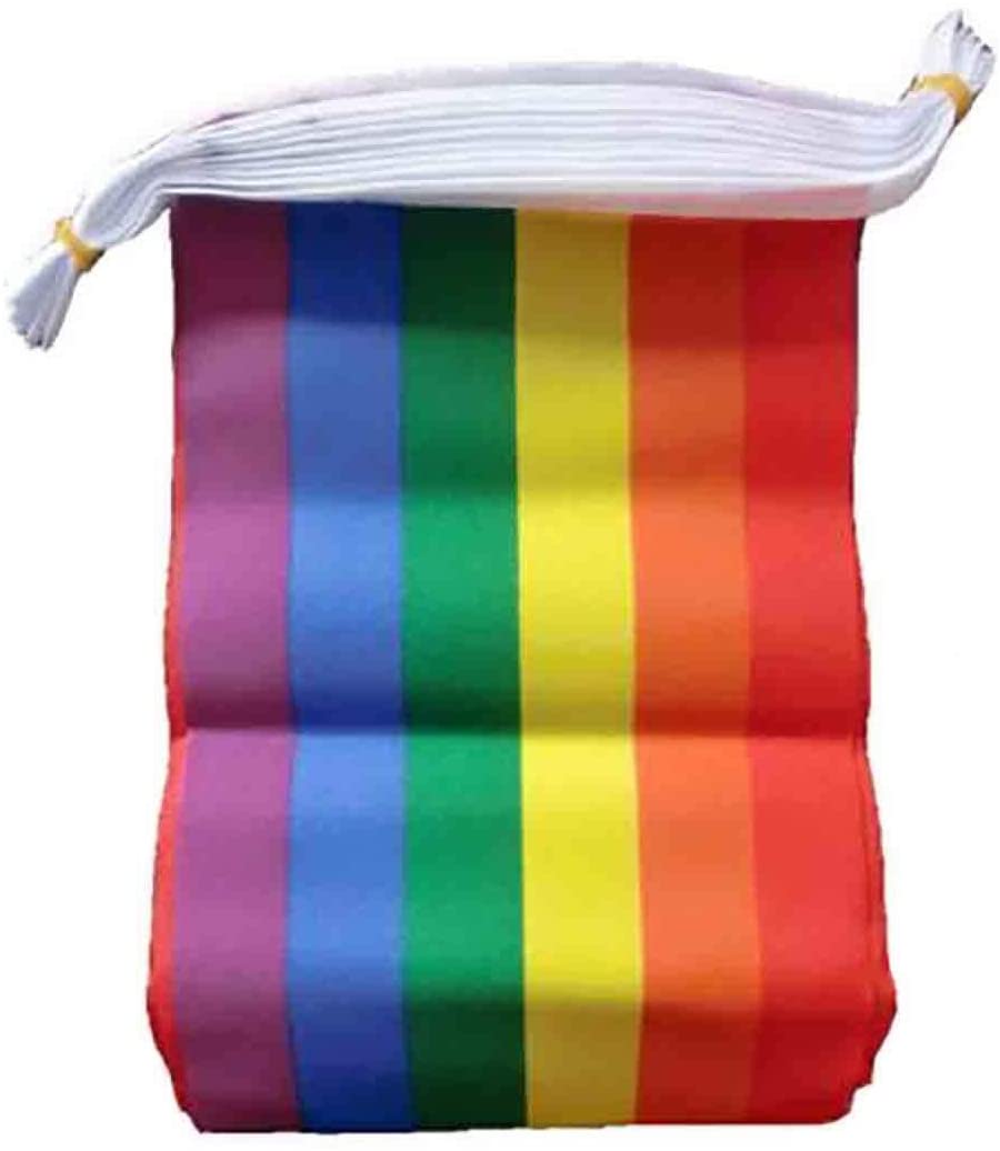 Henbrandt 7 Metre Rainbow Bunting Gay Pride w/ 24 Rectangle Flags, Multicolor - Image 2