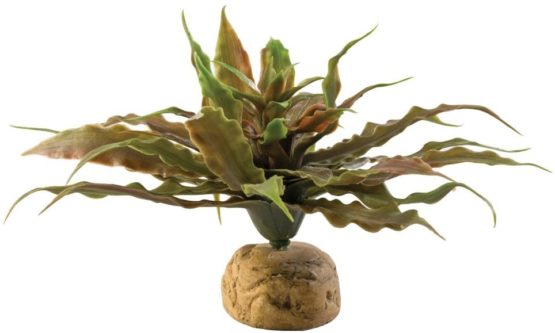 Exo Terra Star Cactus