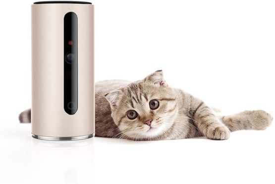 PETKIT Pet Remote Monitor Mate Pro, Rose Gold
