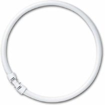 Osram 22 Watt Lumilux T5 Fluorescent Lamps Socket