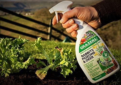 Grazers G1 Concentrate 750ml Effective against Damage from RABBITS, Pigeon, Deer Etc (Treats Up To 2000m2) - Image 3