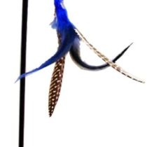 GoCat Da Bird Pull 2 Piece Pull Apart Rod & Bird, Handmade in the USA (1 Bird)