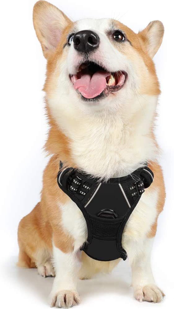 rabbitgoo Dog Harness Medium No Pull Pet Harness with 2 Leash Clips, Adjustable Soft Padded Pet Vest Harness