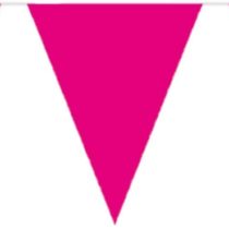 Bunting Cerise 10 metres long with 15 Flags, Triangle, Plastic